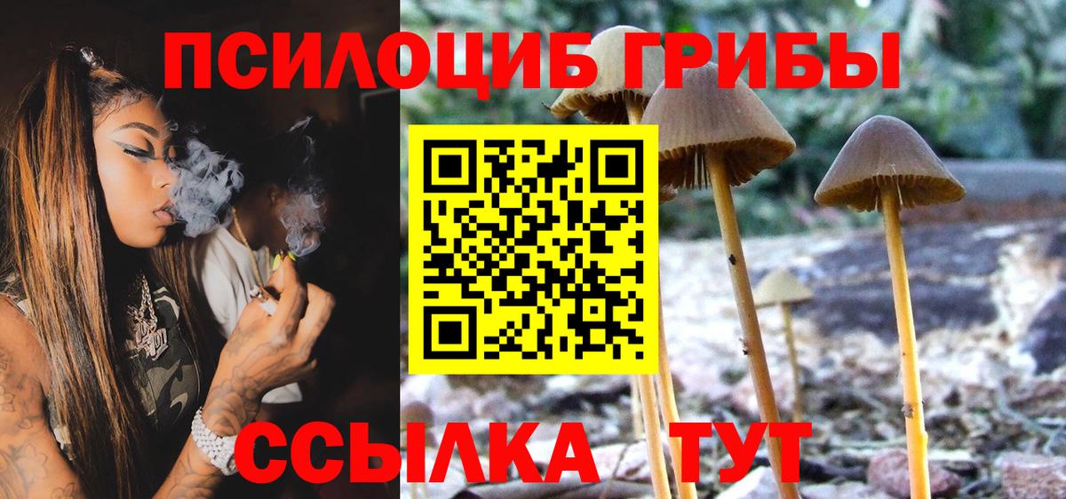 МЕФ кристаллы  Канабис  Вход с VPN  ГАШ  ЭКСТАЗИ  АМФ   Канабис  Жигулёвск  ГАШ  НБОМе  КОКАИН  МЕТАМФЕТАМИН 