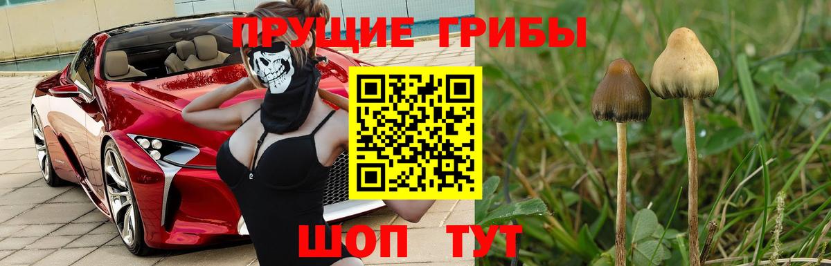 Жигулёвск  Галлюциногенные грибы Psilocybine cubensis  Вход с VPN  цена наркотик  Псилоцибиновые грибы MAGIC MUSHROOMS 