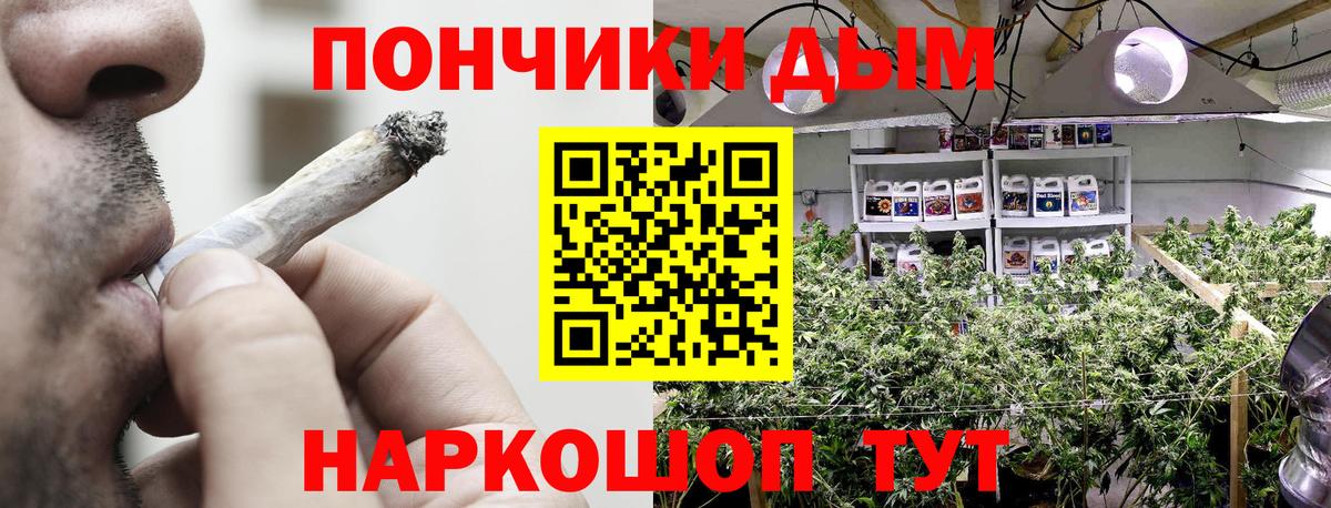 Каннабис план Жигулёвск